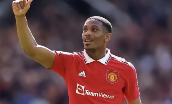 不可替代的 不可替代的